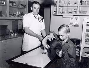 dog and boy with vet