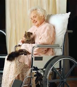 senior woman with cat