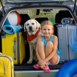 Travel with dogs for vacation fun