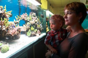 aquarium health benefits