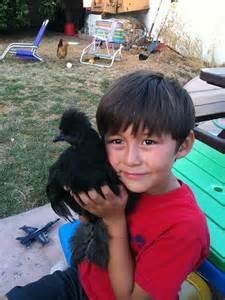 boy and chicken