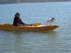 travel with dogs to kayak