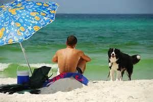 Travel with dogs to beach